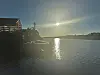 Nærøya AS har fått mange henvendelser fra folk som vil overta drifta av Nærøya.
