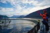 Hver ansatt på merdkanten i norsk havbruksnæring bidrar med 4,6 millioner kroner i verdiskaping. Bildet er fra et av Lerøys anlegg.