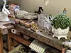 Dekorative porselens- og glassgjenstander står på et rustikt trebord sammen med en grønn plante.