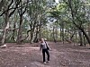Person går på en sti i en tett skog.