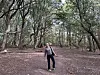 Person går på en sti i en tett skog.